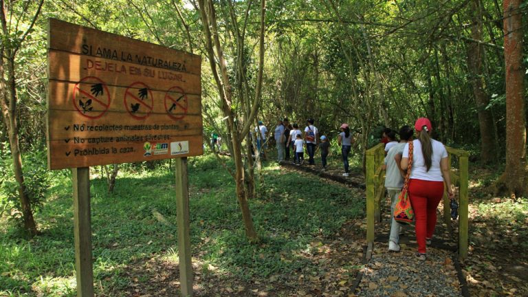 ¿El fin de un paraíso ambiental? Marengo, el pulmón verde de Pitalito, en la mira de un polémico proyecto cafetero