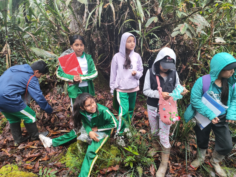 Huila clasifica a la gran final nacional de Olimpiadas STEM+