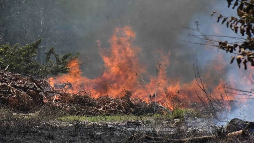 Incendios provocados amenazan ecosistemas en el Huila