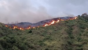 La alerta por amenaza de incendios forestales se expande a veintidós municipios del Huila