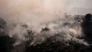 Lluvias mitigan voraces incendios en el Tolima