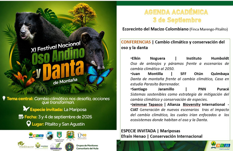 Pitalito y San Agustín acogen el Festival del Oso Andino y la Danta de Montaña 2026