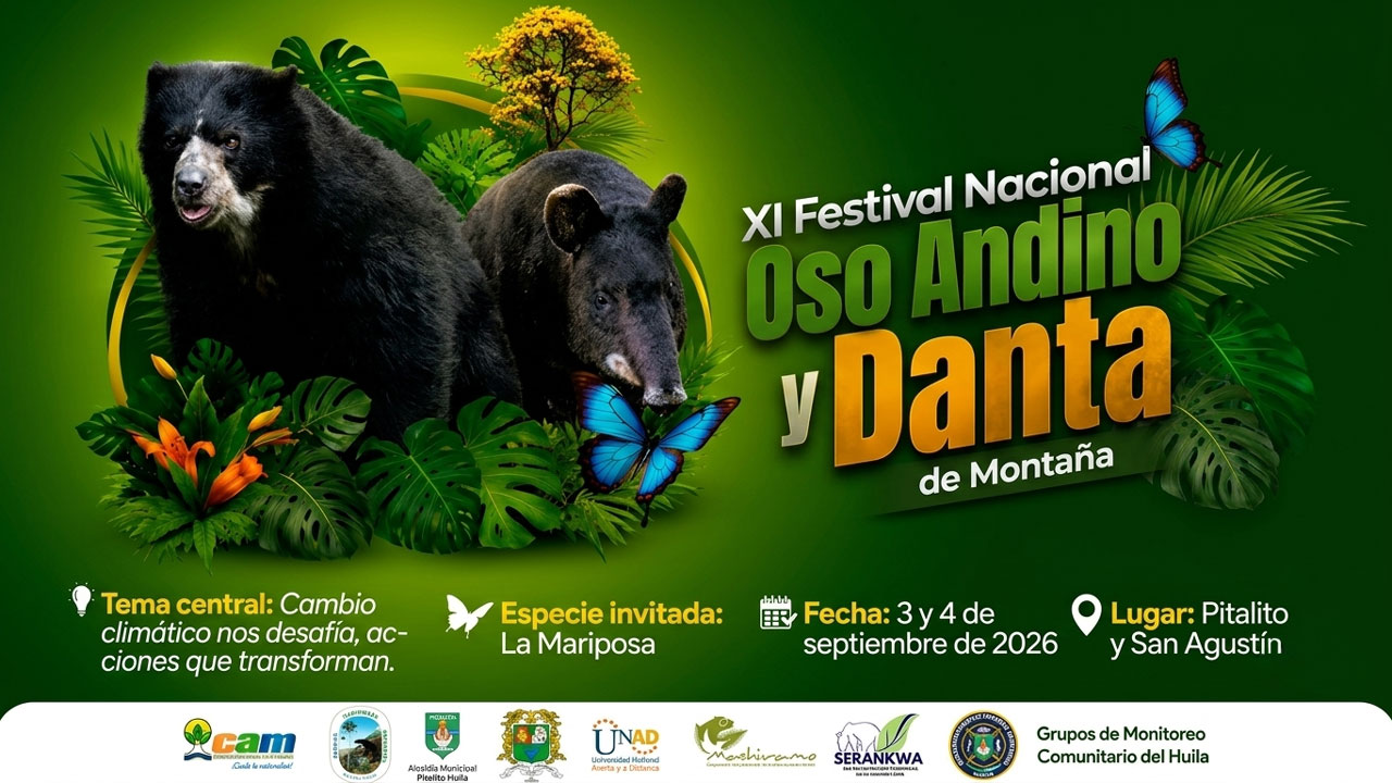Pitalito y San Agustín acogen el Festival del Oso Andino y la Danta de Montaña 2026