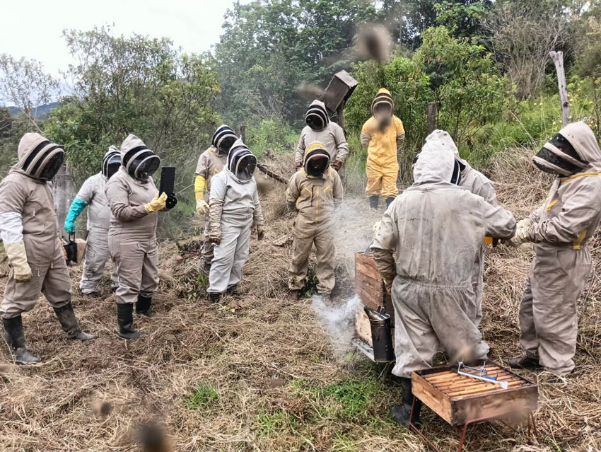 Apicultores del Huila Unen Miel y Conservación