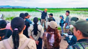 Arrozales del Huila: Refugio de Aves Migratorias