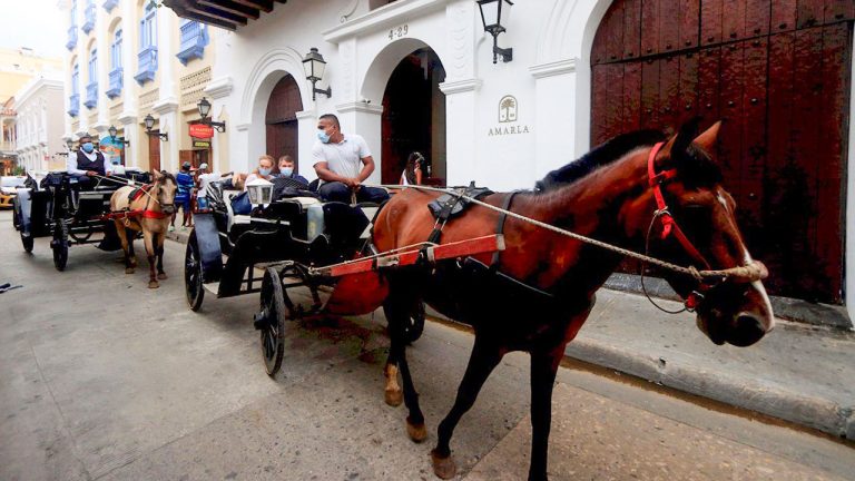 Corte prohíbe uso de animales para el turismo