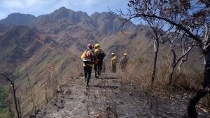 Huila arde: 11 municipios en alerta roja por voraces incendios forestales