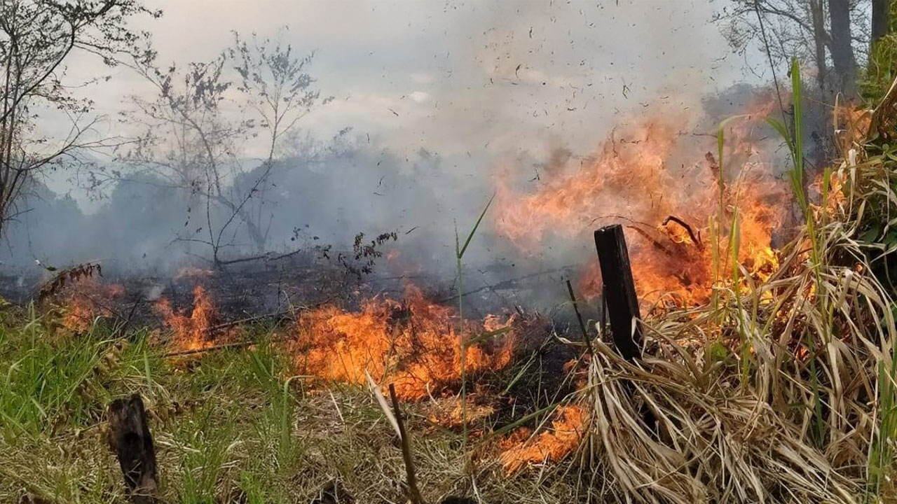 Huila lidera alertas rojas por incendios en Colombia