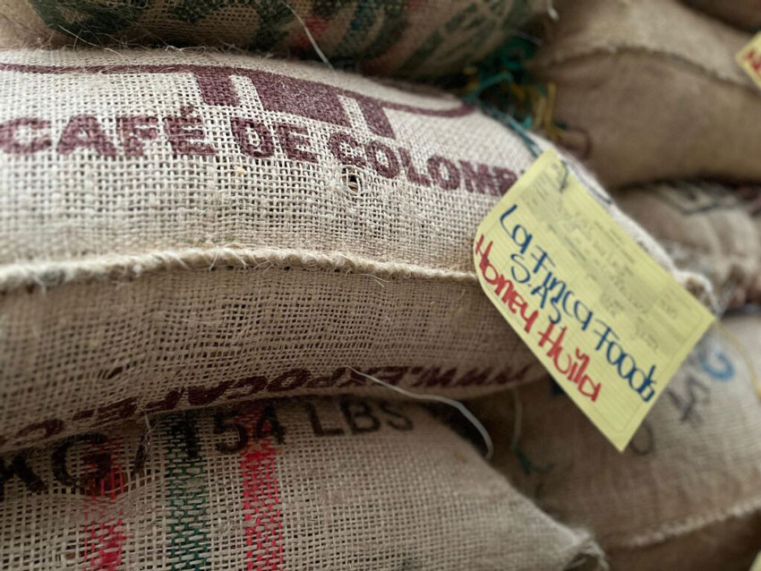 La Gran Subasta de Expocafé Pitalito 2026, una Vitrina de oro para los Caficultores del Huila