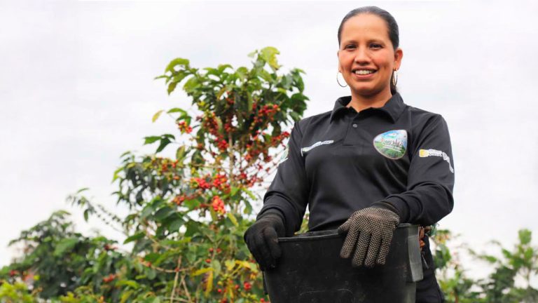 La mujer que transforma el café en Huila