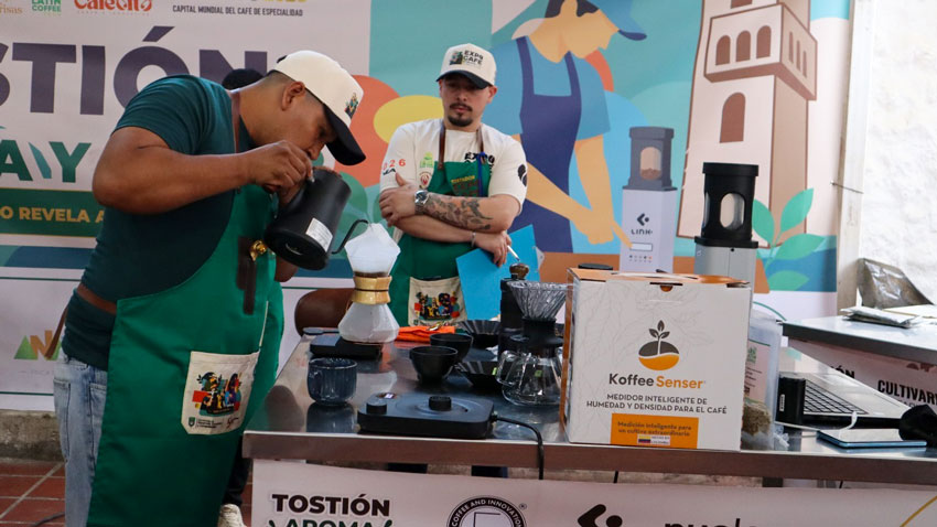 Pitalito vibra con la fiesta del café de especialidad