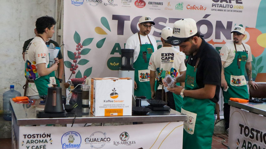 Pitalito vibra con la fiesta del café de especialidad