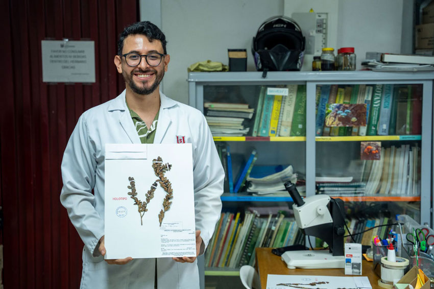 Plutarchia hildae: un nuevo tesoro botánico del Huila