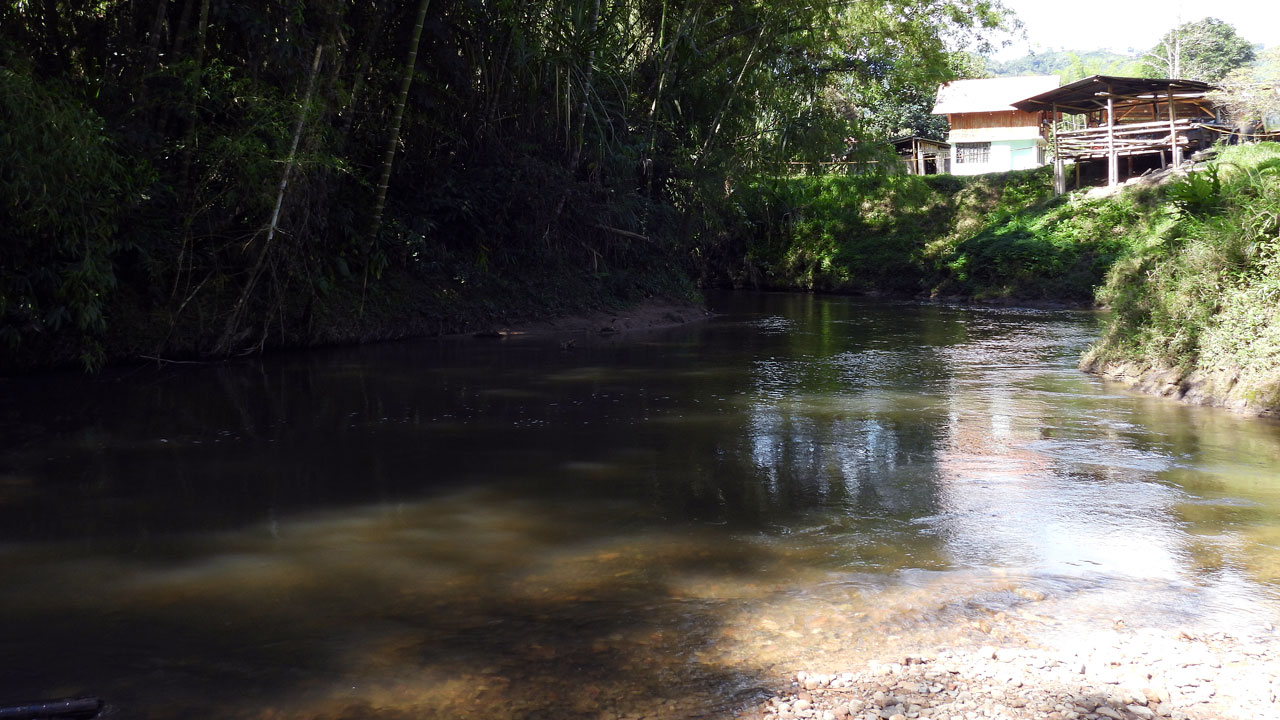 A pesar de la lenta recuperación del Río Guarapas, sus auas siguen presentando altos índices de contaminación
