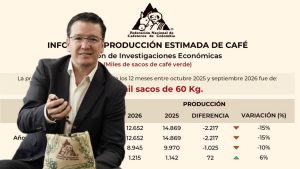 Dramática caída del 15 % en la producción de café