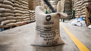 Exportaciones agropecuarias caen 16% por crisis cafetera