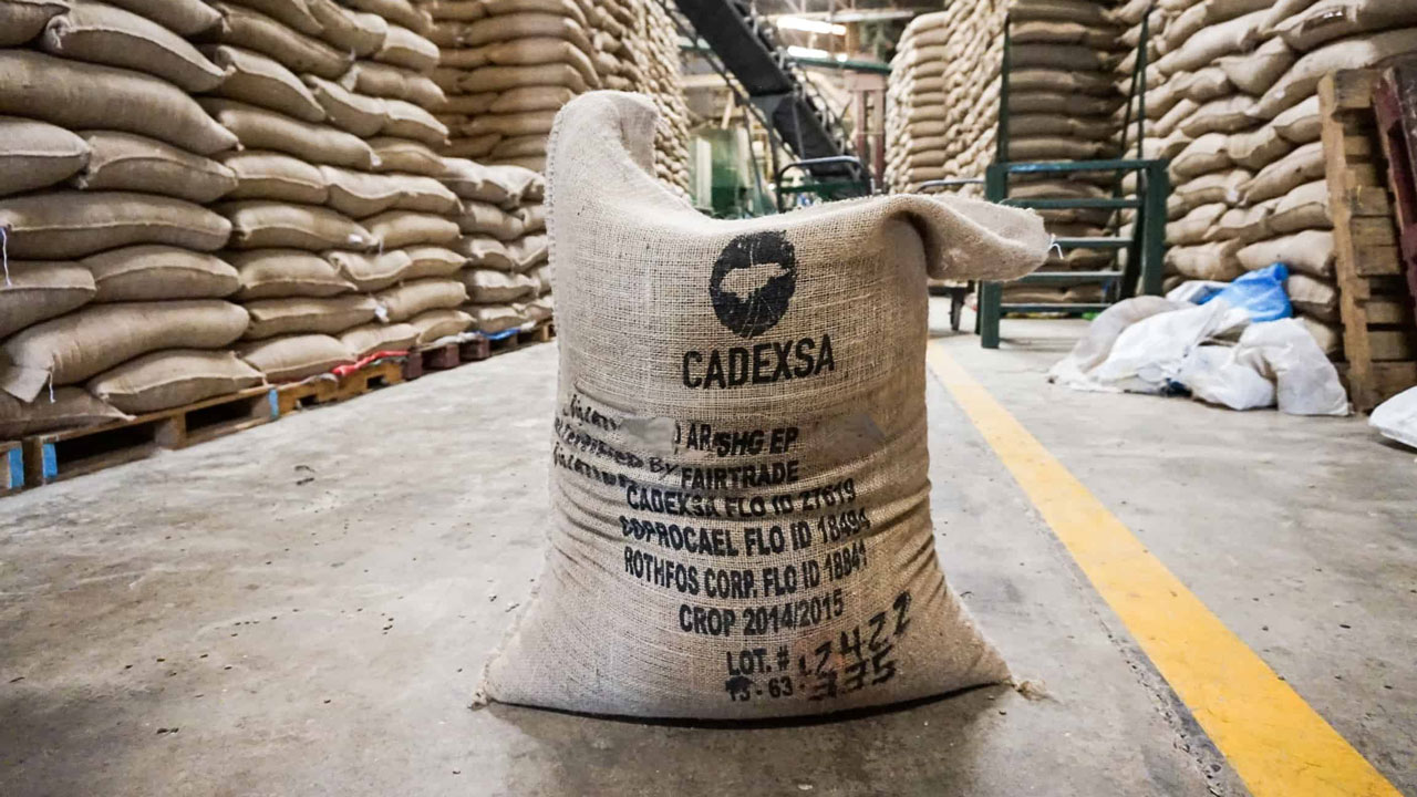Exportaciones agropecuarias caen 16% por crisis cafetera
