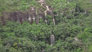 Fin a la reserva de recursos en la Amazonía colombiana