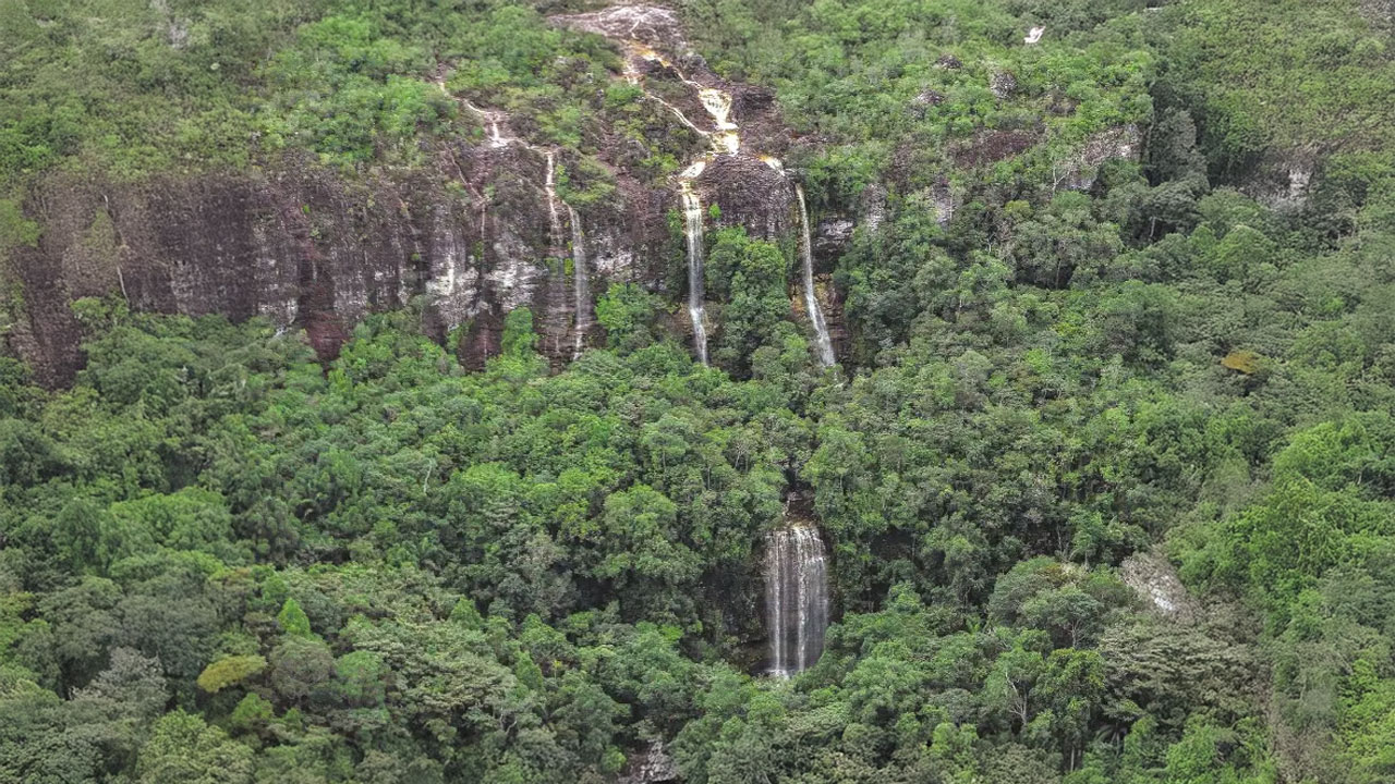 Fin a la reserva de recursos en la Amazonía colombiana