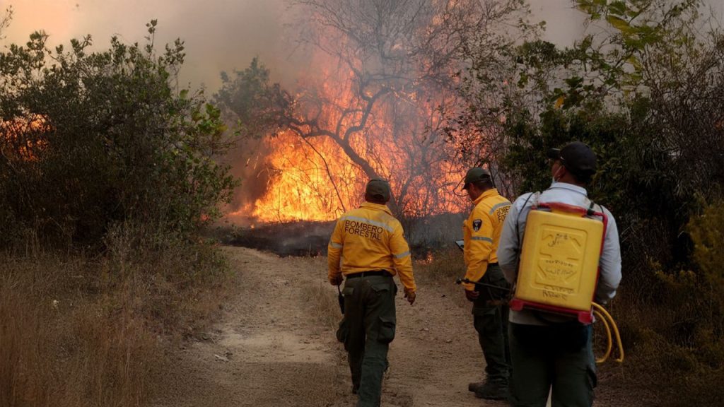 Incendios forestales arrasan 4.430 hectáreas en el Huila