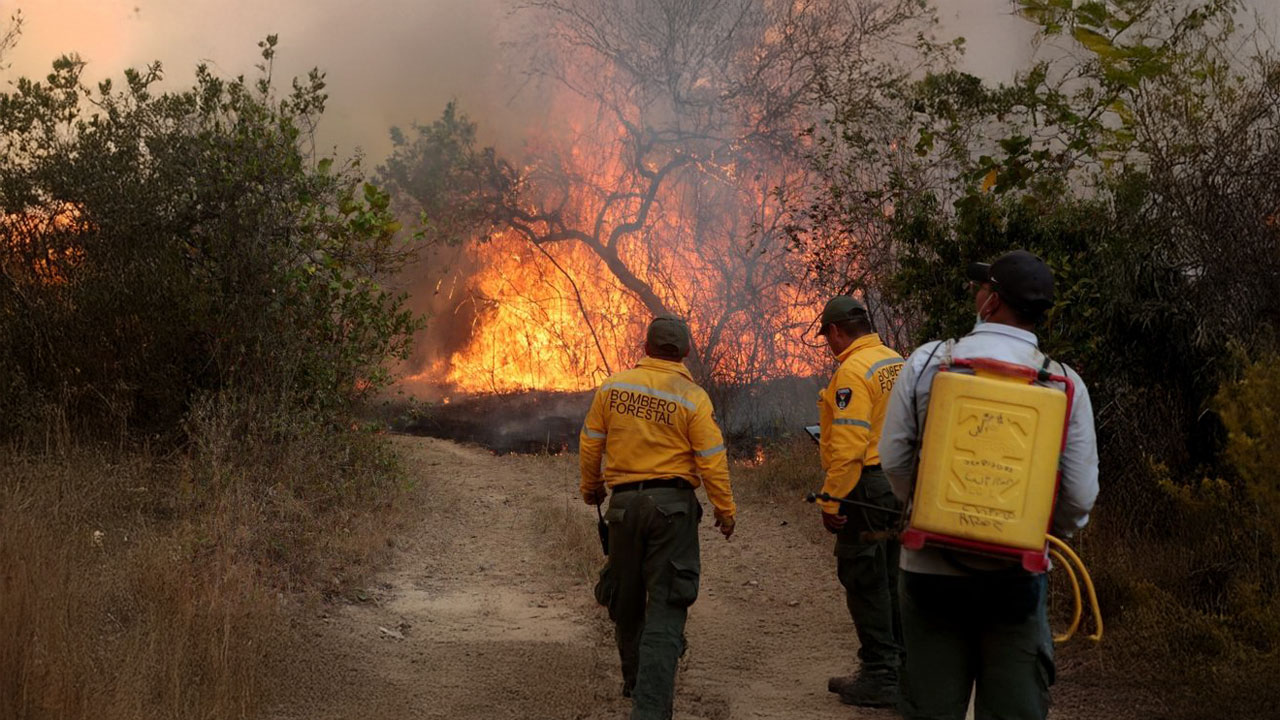 Incendios forestales arrasan 4.430 hectáreas en el Huila