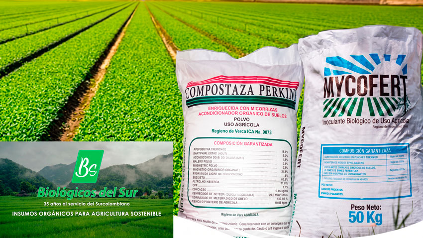 La micorriza es una asociación simbiótica de tipo mutualista que se establece de manera natural entre las raíces de las plantas