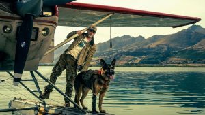 Película El corazón de la bestia alimentará perros en abandono