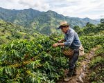 Corte avala Jurisdicción Agraria: Jueces Rurales en 2027
